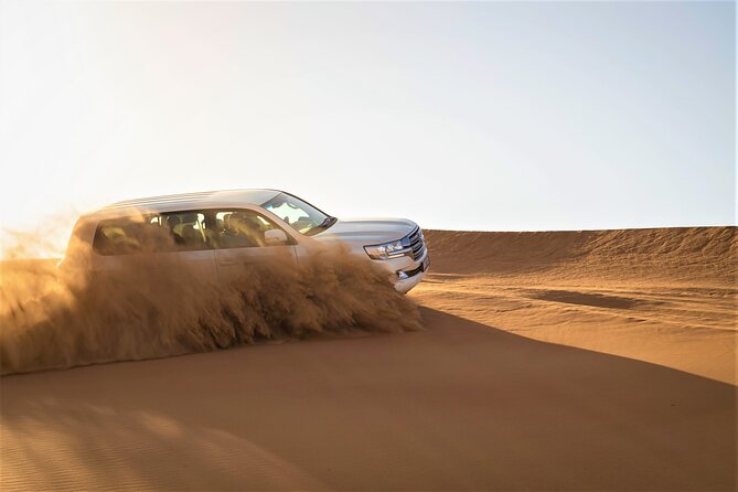 Dubai Half-day Red Dunes bashing with Sandboarding, Camel &Falcon - What $34.89 really buys you