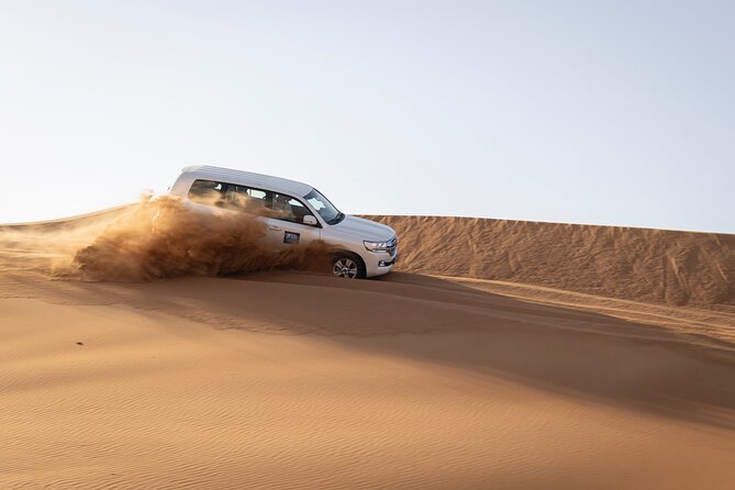 Dubai Half-day Red Dunes bashing with Sandboarding, Camel &Falcon - The road from Dubai to Lahbab