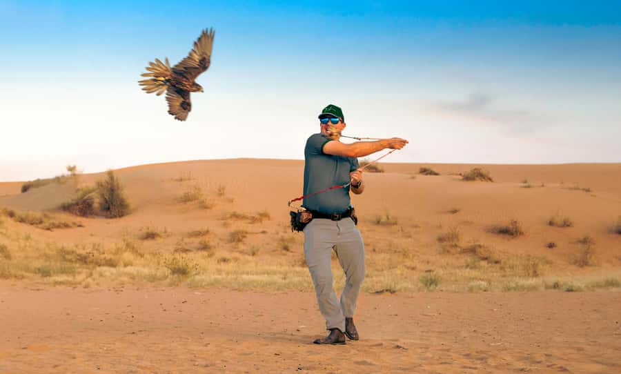Dubai: Heritage Desert Safari wtih Overnight and Breakfast - Tea, sunset, and a falcon in flight