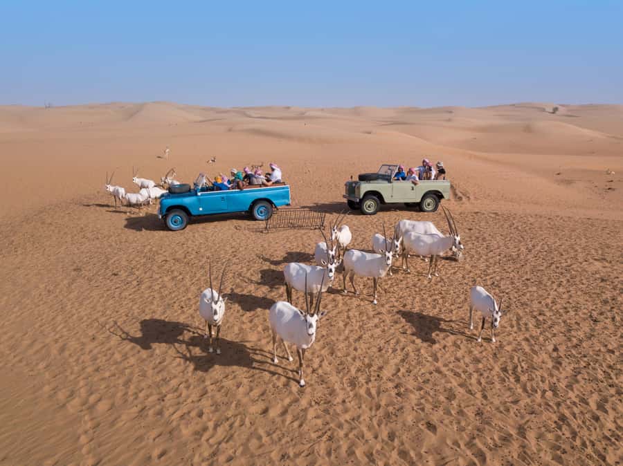 Dubai: Heritage Safari in Vintage Land Rover with Dinner - Who should book, and who should skip it