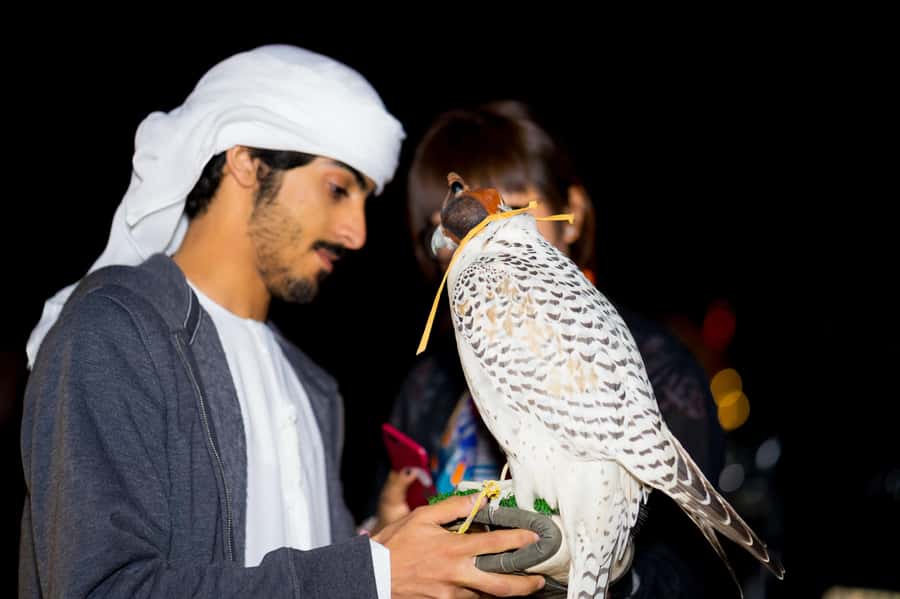 Dubai: Hot Air Balloon, Camel Ride, Desert Safari & More - Landing, dune driving, and the Margham desert