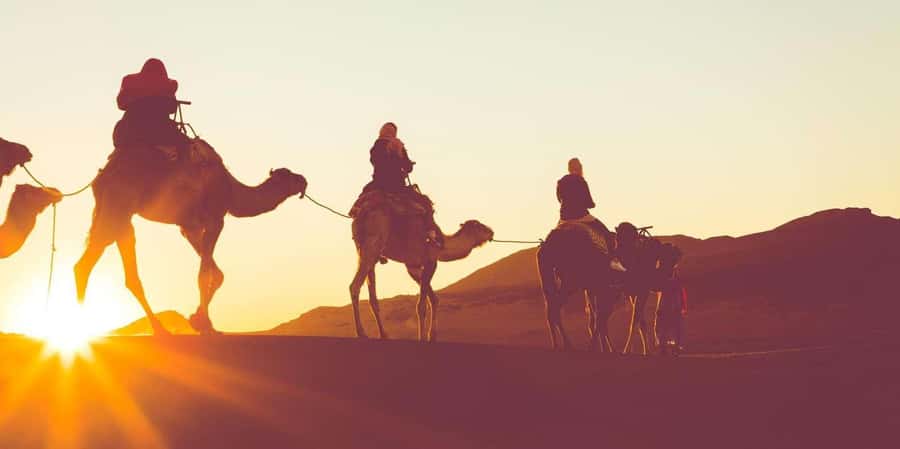 Dubai: Hot Air Balloon with Camel, ATV, & Horse Ride Options - Landing, refreshments, and the trip to camp
