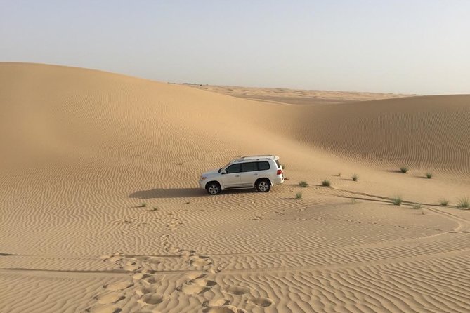 Dubai Kids Friendly Morning Safari - Private Car - Family safety features worth checking