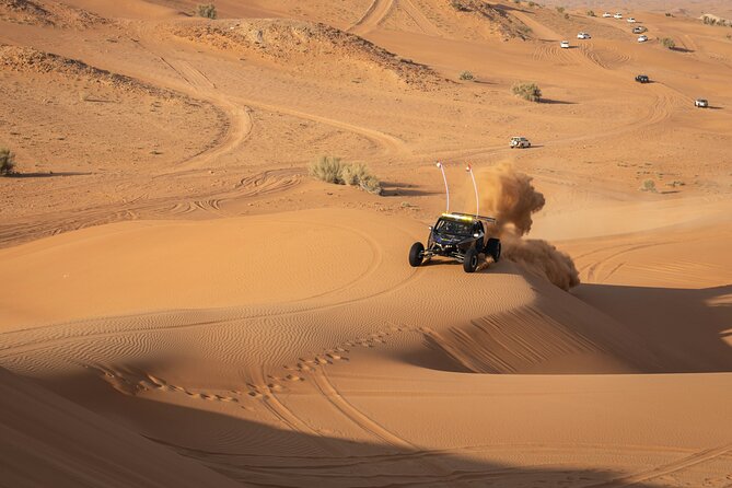 Dubai Long Self-Drive Quadbike with Camel and Falcon - Water, soft drinks, and what you pay for