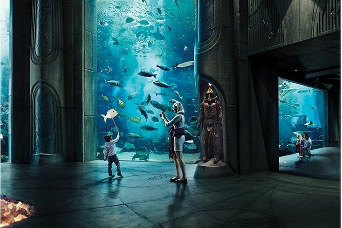 Dubai Lost Chambers Aquarium Admission E-Ticket - The Ambassador Lagoon at Poseidon’s Court