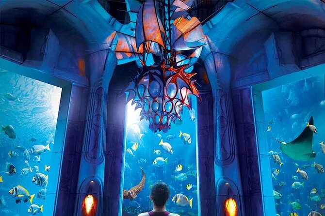 Dubai Lost Chambers Aquarium Admission E-Ticket - Feeding presentations and the best time to slow down