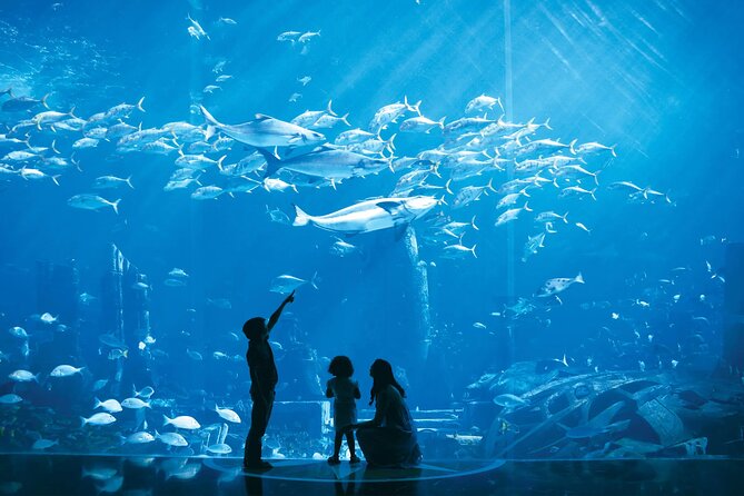 Dubai Lost Chambers Aquarium Admission E-Ticket - How much time should you allow?