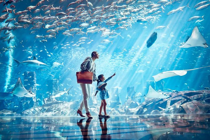 Dubai Lost Chambers Aquarium Admission E-Ticket - Is $22.49 good value?