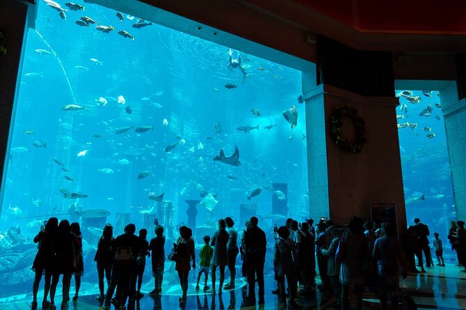 Dubai Lost Chambers Aquarium Admission E-Ticket - Who will enjoy this aquarium most?