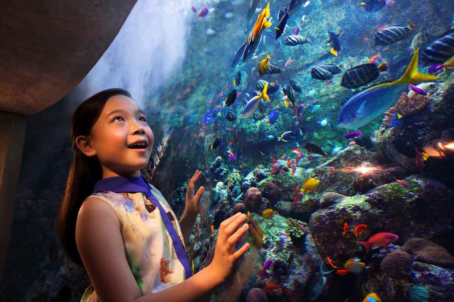Dubai: Lost Chambers Aquarium Entry Ticket - Key points at a glance
