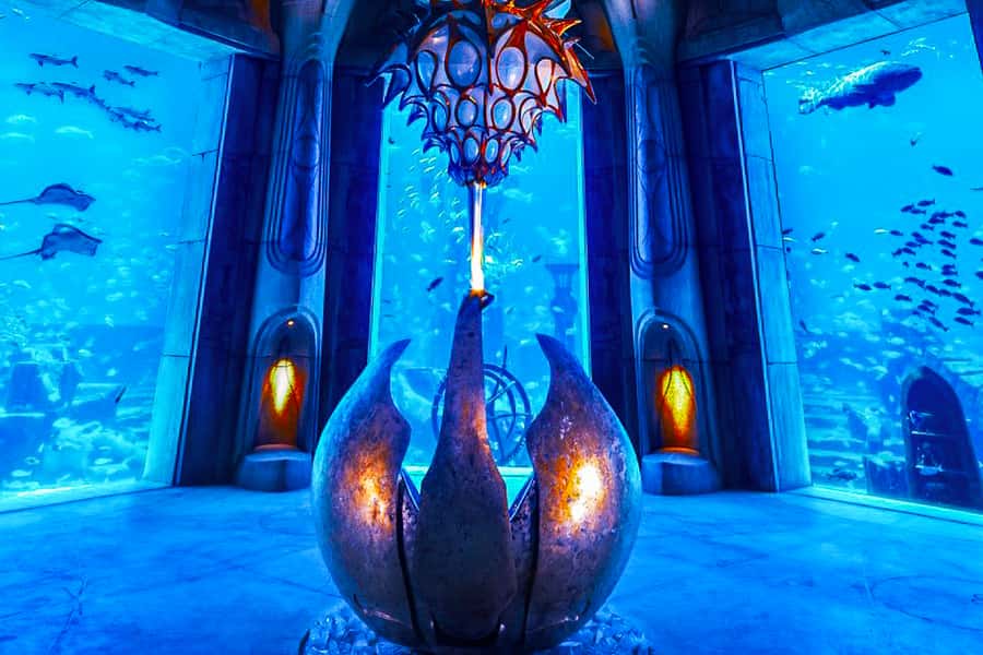 Dubai: Lost Chambers Aquarium Entry Ticket - A self-guided visit with room to set your own pace
