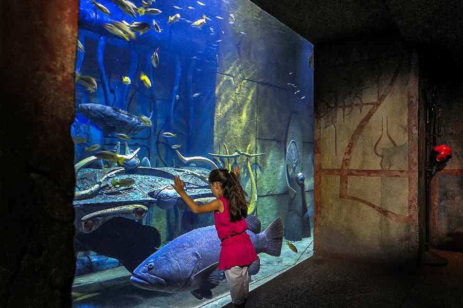 Dubai: Lost Chambers Aquarium Entry Ticket - How long should you plan for the visit?