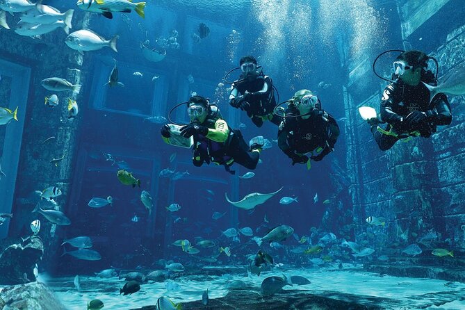 Dubai Lost Chambers Dive Explorer (Certification Required) - What makes the Ambassador Lagoon special
