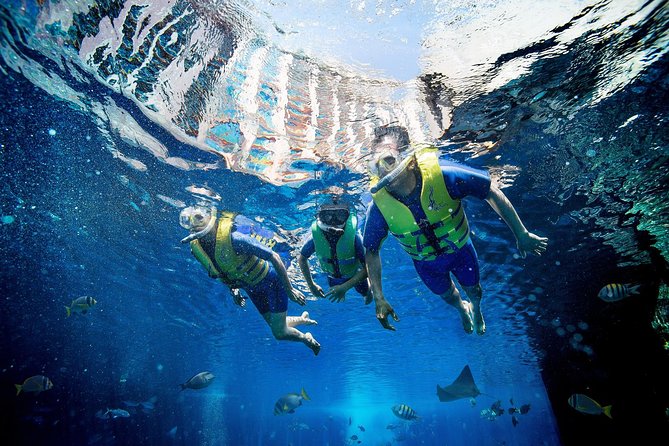 Dubai Lost Chambers Ultimate Snorkel Experience - Why the Ambassador Lagoon is the real attraction