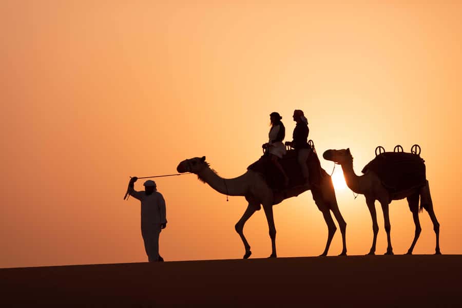 Dubai: Luxury Safari with Michelin-Curated 5-Course Dinner - Sunset canapes, sparkling juice, and falconry