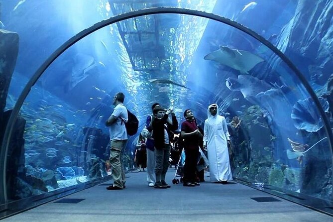 Dubai Mall Aquarium and Underwater Zoo Ticket - FAQ