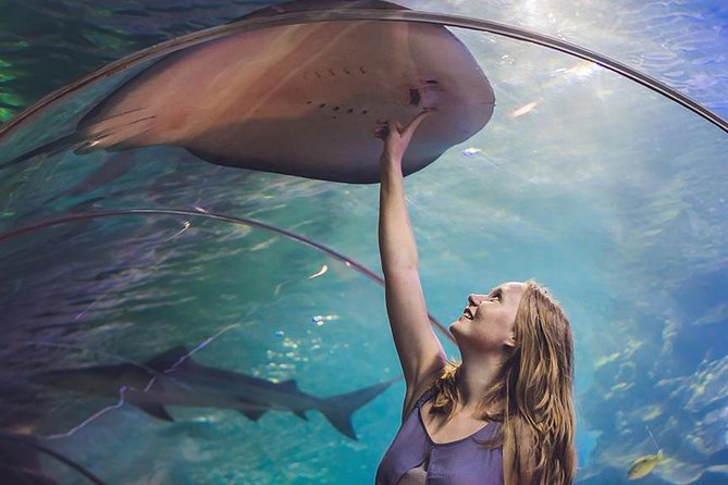 Dubai Mall Aquarium & Underwater Zoo with Penguin Cove Tickets - The Underwater Zoo beyond the glass