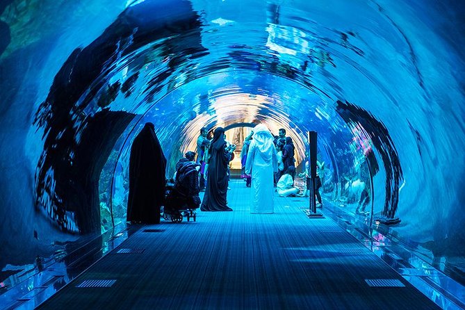 Dubai Mall Aquarium & Underwater Zoo with Penguin Cove Tickets - How much value do you get for $54.52?