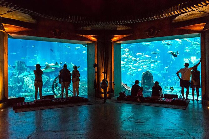 Dubai Mall Aquarium & Underwater Zoo with Penguin Cove Tickets - What the mixed rating tells you