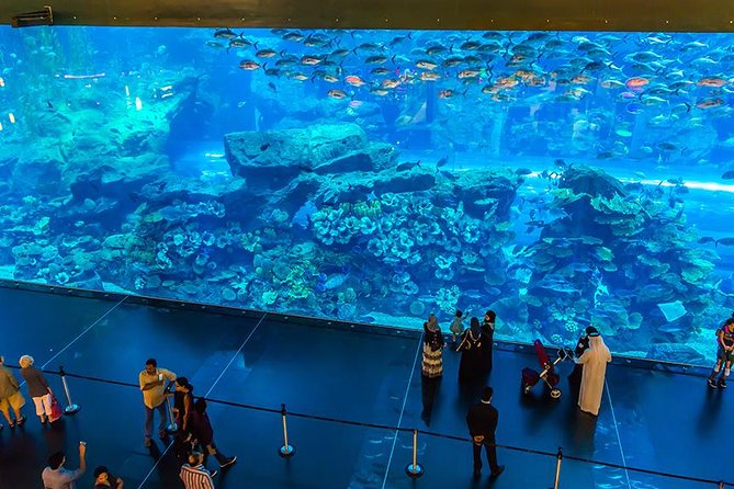 Dubai Mall Aquarium & Underwater Zoo with Penguin Cove Tickets - Should you book Dubai Aquarium and Underwater Zoo?