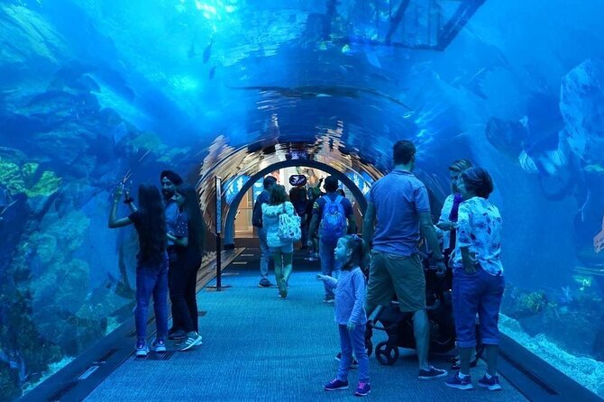 Dubai Mall Aquarium with Penguin Cove + Skyview Ticket - Dubai Aquarium: a huge tank in the middle of a mall