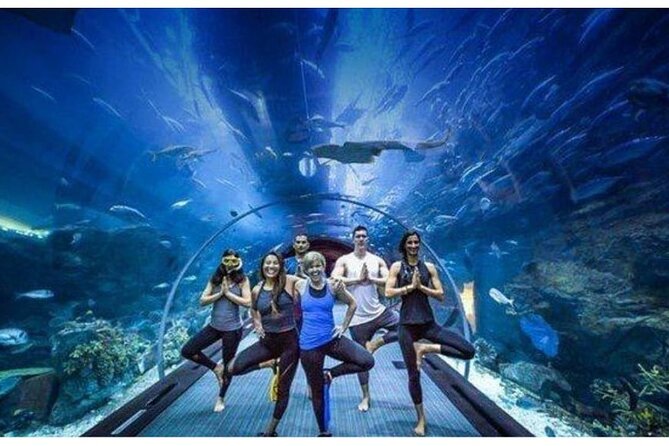 Dubai Mall Aquarium with Penguin Cove + Skyview Ticket - Underwater Zoo and Penguin Cove