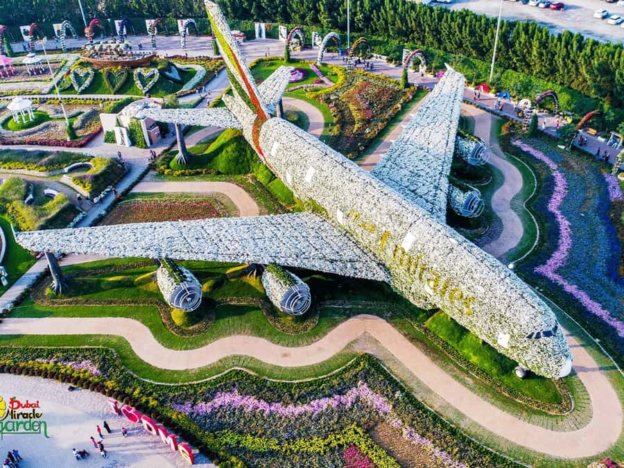Dubai: Miracle Garden Entry Ticket with Hotel Transfer - What Dubai Miracle Garden is really like