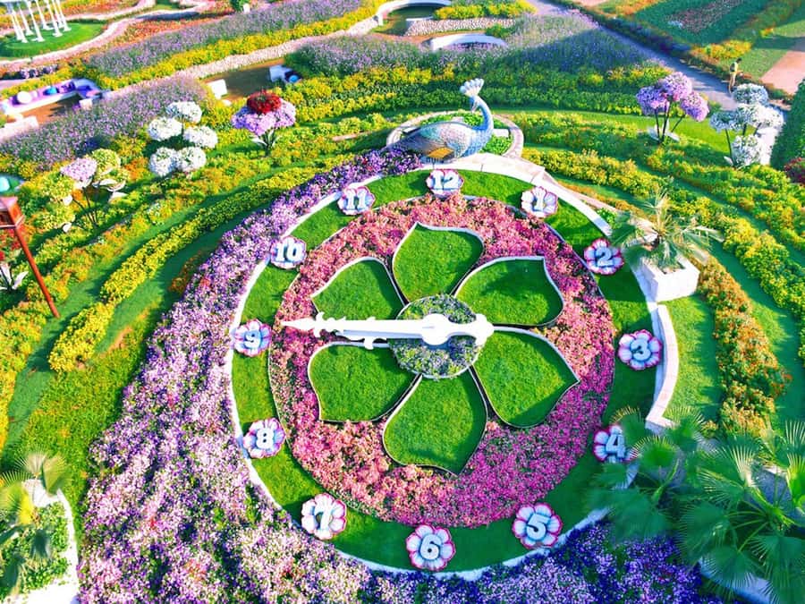 Dubai: Miracle Garden Entry Ticket with Hotel Transfer - The Airbus A380 is the headline display