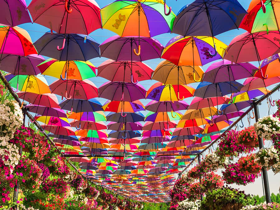 Dubai: Miracle Garden Entry Ticket with Hotel Transfer - Floating lady, Lake Park, and the best photo stops