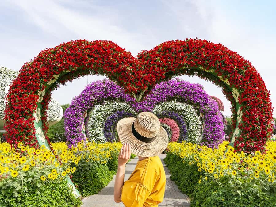Dubai: Miracle Garden Entry Ticket with Hotel Transfer - The hotel transfer makes the visit simple