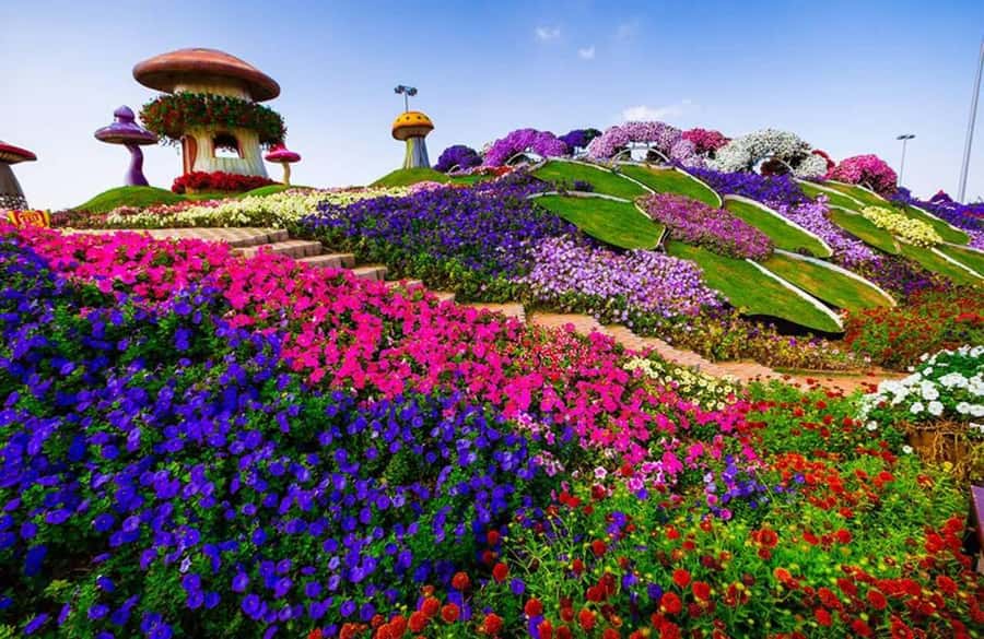 Dubai: Miracle Garden, Global Village, and Dubai Frame - Where does Dubai Frame fit?
