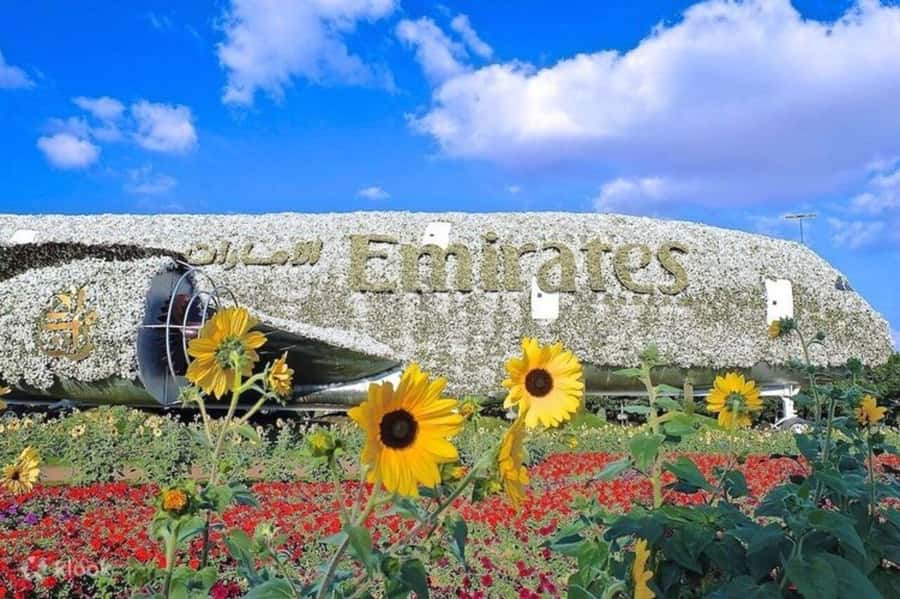 Dubai: Miracle Garden, Global Village, and Dubai Frame - Should you book it?