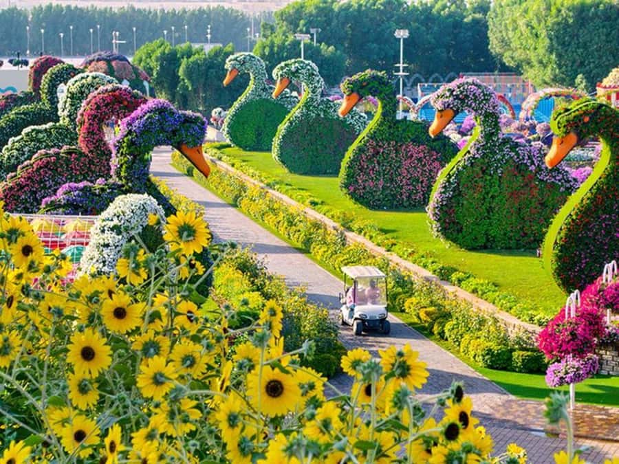 Dubai: Miracle Garden, Global Village, and Dubai Frame - The transfer between stops