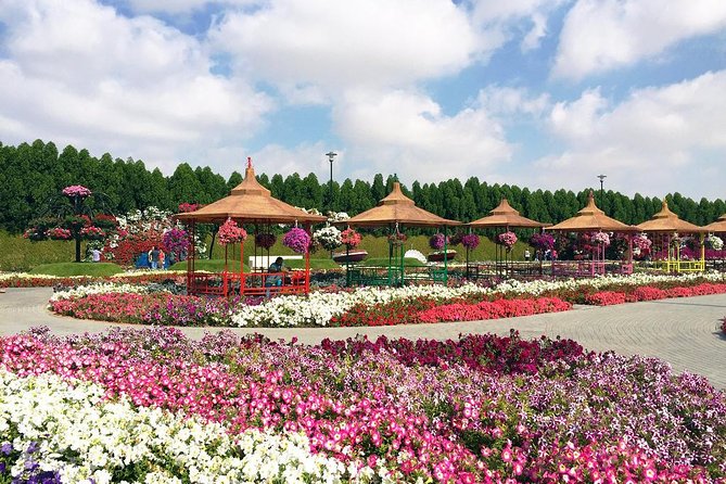 Dubai Miracle Garden Self-Guided Tour with Ticket with Transfer - The Emirates A380 and the biggest flower displays