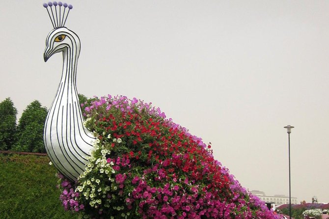 Dubai Miracle Garden Self-Guided Tour with Ticket with Transfer - Is the $80 price good value?
