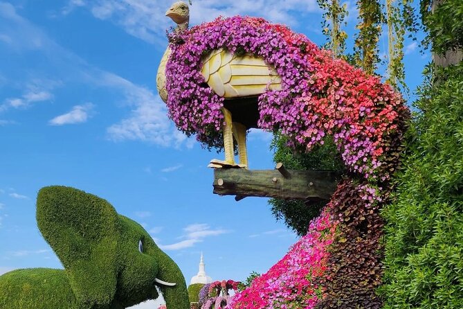 Dubai Miracle Garden Skip the Line E-Ticket and Transport Options - Walking, lawns, and the new mini golf course