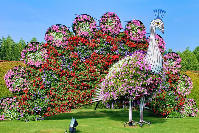 Dubai Miracle Garden Ticket with Transfer - Who should choose this experience