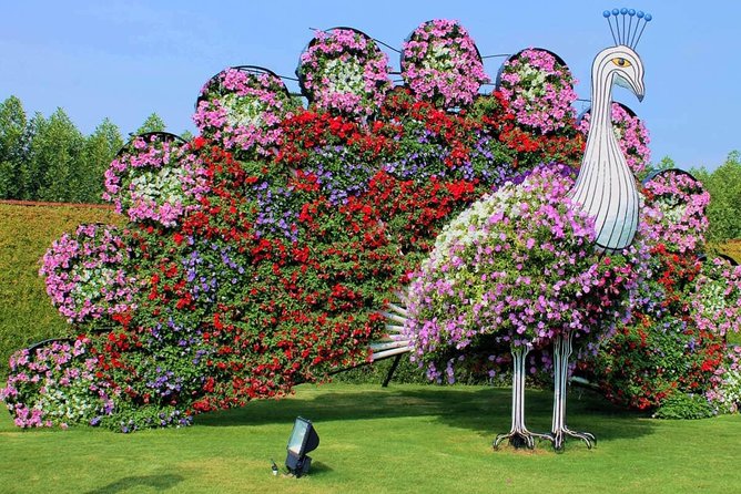 Dubai Miracle Garden with private round trip transfers - What the $65 Price Really Covers