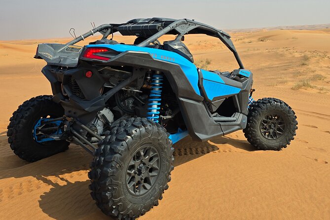 Dubai: Morning CaNam Buggy Safari with Sandboarding & Camel Ride - Who will enjoy this Dubai desert safari most?
