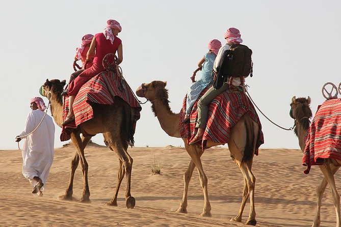 Dubai: Morning Desert Safari - The guide and driver matter here
