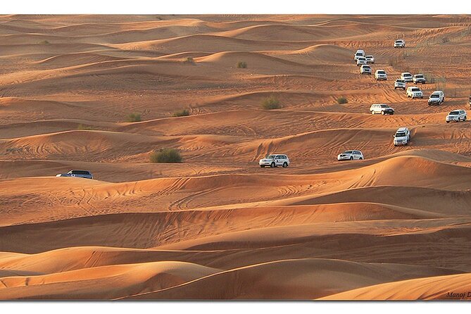 Dubai Morning Desert Safari: Camel Ride & Sandboarding! - Is $39 good value?