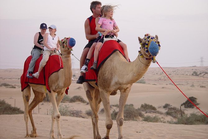 Dubai: Morning Desert Safari with Camel Ride and Sand boarding - Key points to know before you book