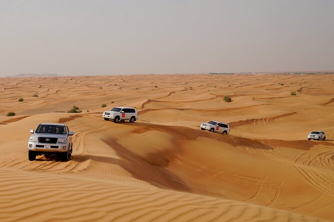 Dubai Morning Desert Safari with Quad Biking & More Activities - What the $55 price really buys