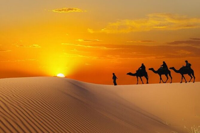 Dubai: Morning Desert Safari - Sandboarding gives you a second kind of thrill