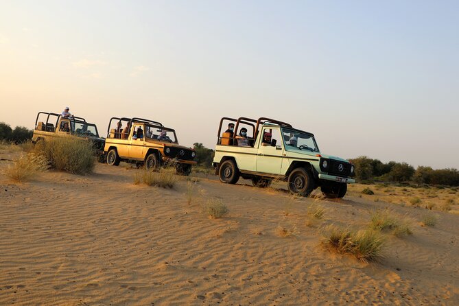 Dubai: Morning Heritage Safari by Vintage G Class & Al Marmoom Oasis - Arabic coffee, clothing, and falcon photographs