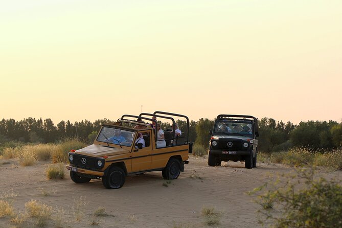 Dubai: Morning Safari by Vintage G Class & Al Marmoom Experience - Why Al Marmoom feels different from a standard Dubai safari