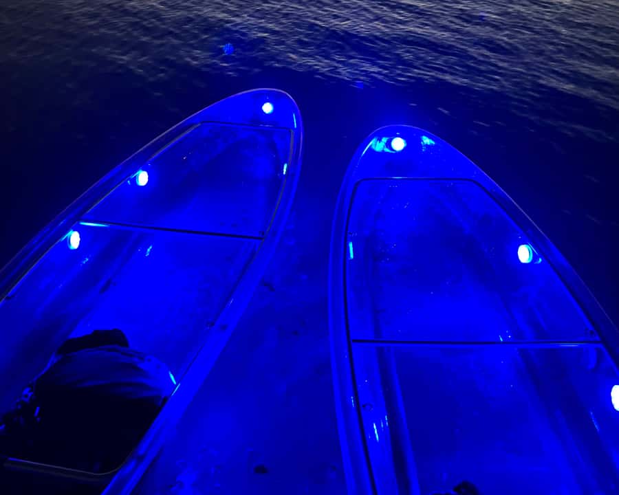 Dubai: Night Kayaking Tour - Timing, weather, and what can change