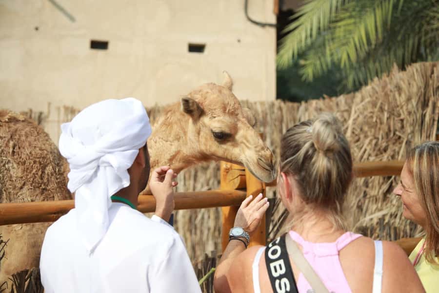 Dubai: Old City Walking Tour with Abra Ride - Al Fahidi’s houses, courtyards, and wind towers