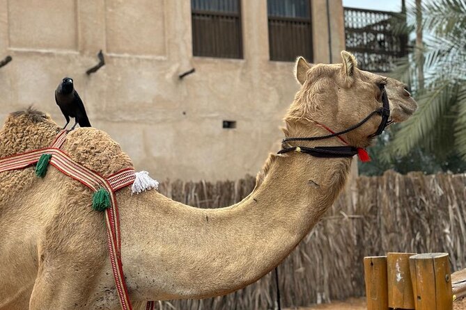 Dubai Old Town Walking Tour with Abra ride, Spice and Gold Souk - Following the smell into the Spice Souk