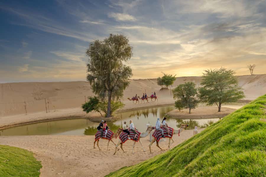 Dubai: Overnight Safari with Luxury Dome Stay & Stargazing - Red dunes, sandboarding, and desert wildlife